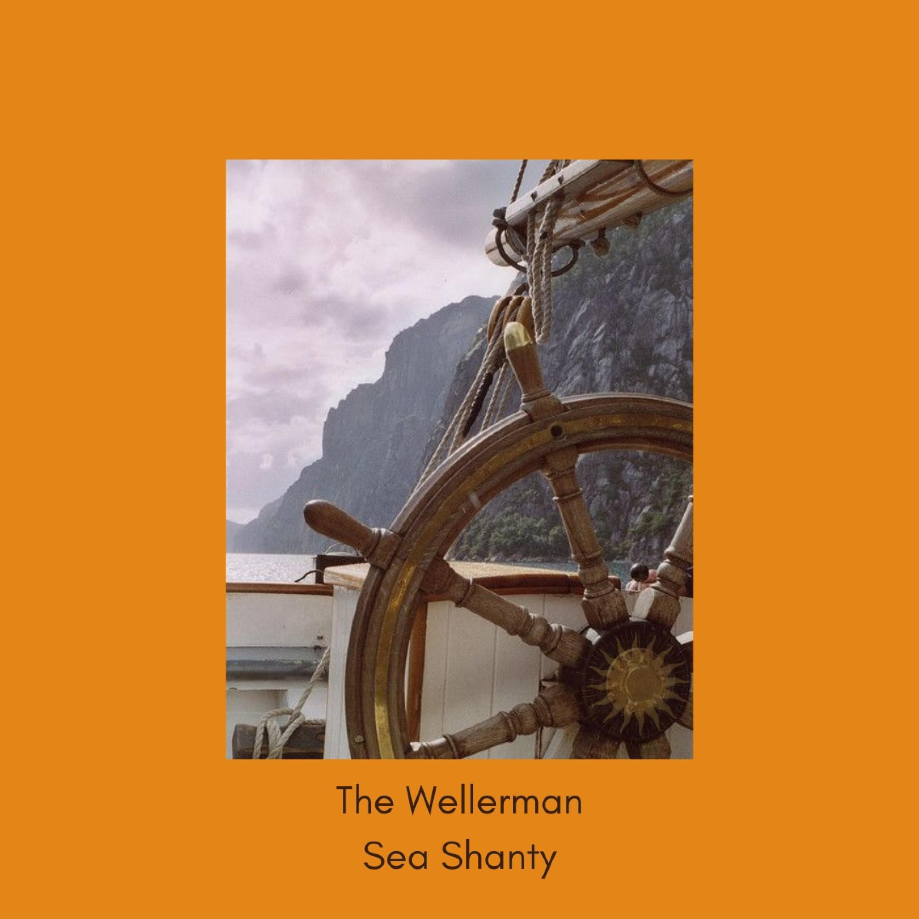 the wellerman sea shanty tik tok
