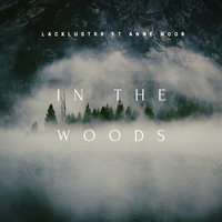 In the Woods (feat. Anne Noor)