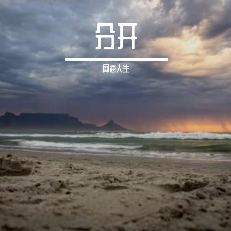 荆棘里的花封面