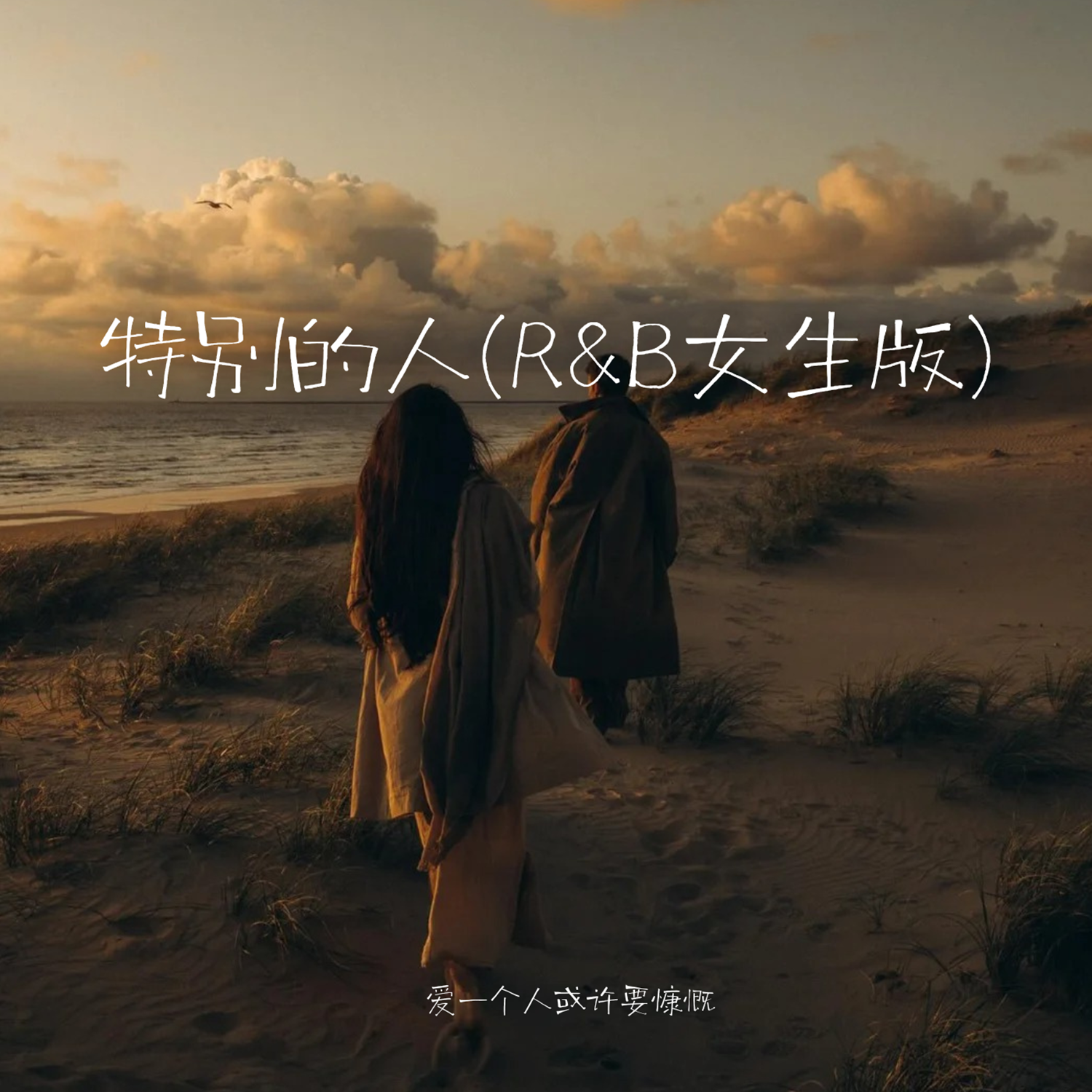 特别的人 (R&B女生版)封面