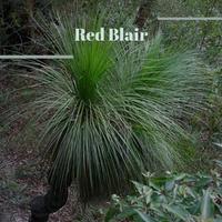 Red Blair