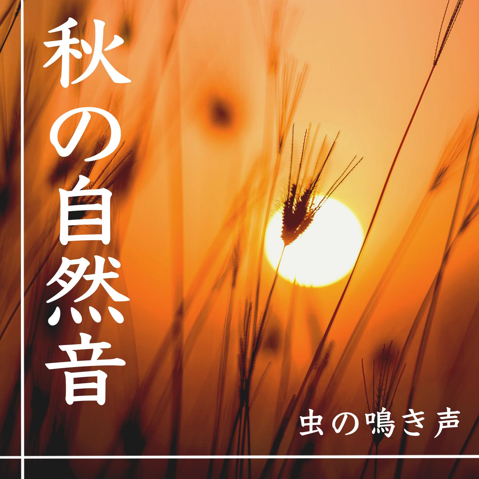森林浴封面