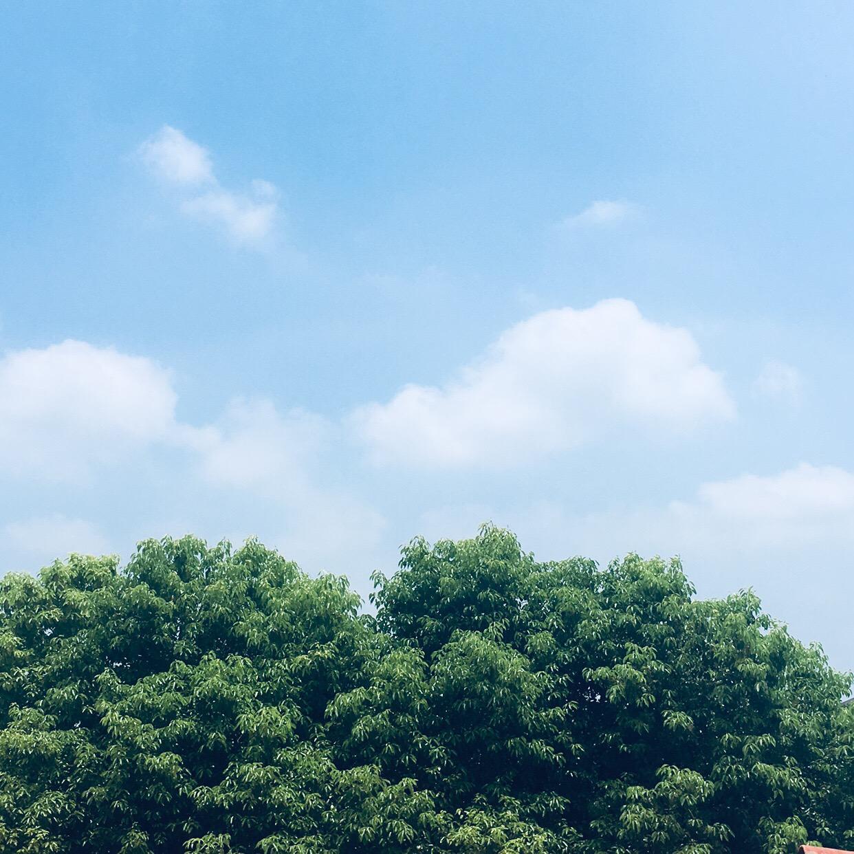 等我们老了，就定居在重庆封面