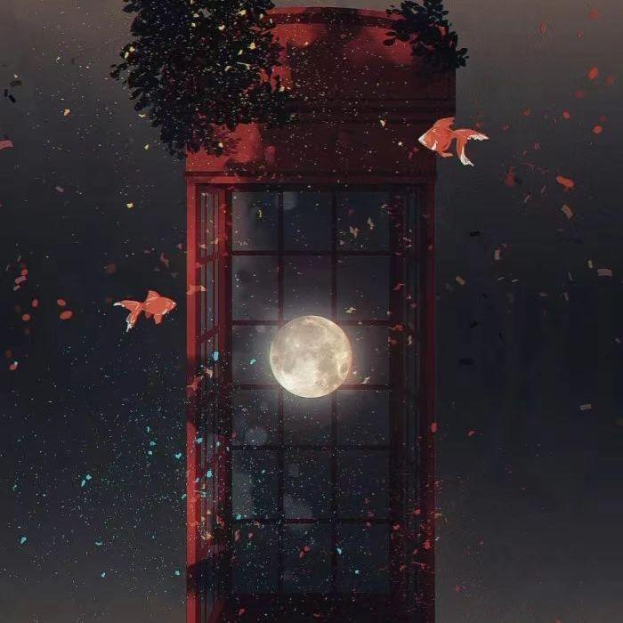 海芋恋·封面