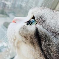 荼翡资料,荼翡最新歌曲,荼翡MV视频,荼翡音乐专辑,荼翡好听的歌