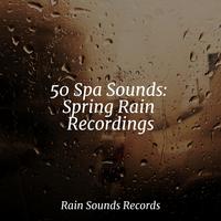 50 Spa Sounds: Spring Rain Recordings