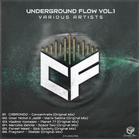 Underground Flow, Vol. 1