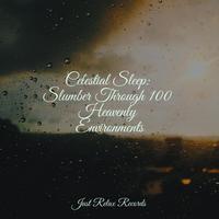 Celestial Sleep: Slumber Through 100 Heavenly Environments