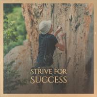 Strive for Success