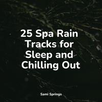 25 Spa Rain Tracks for Sleep and Chilling Out