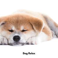 Dog Relax