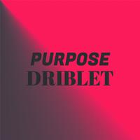 Purpose Driblet