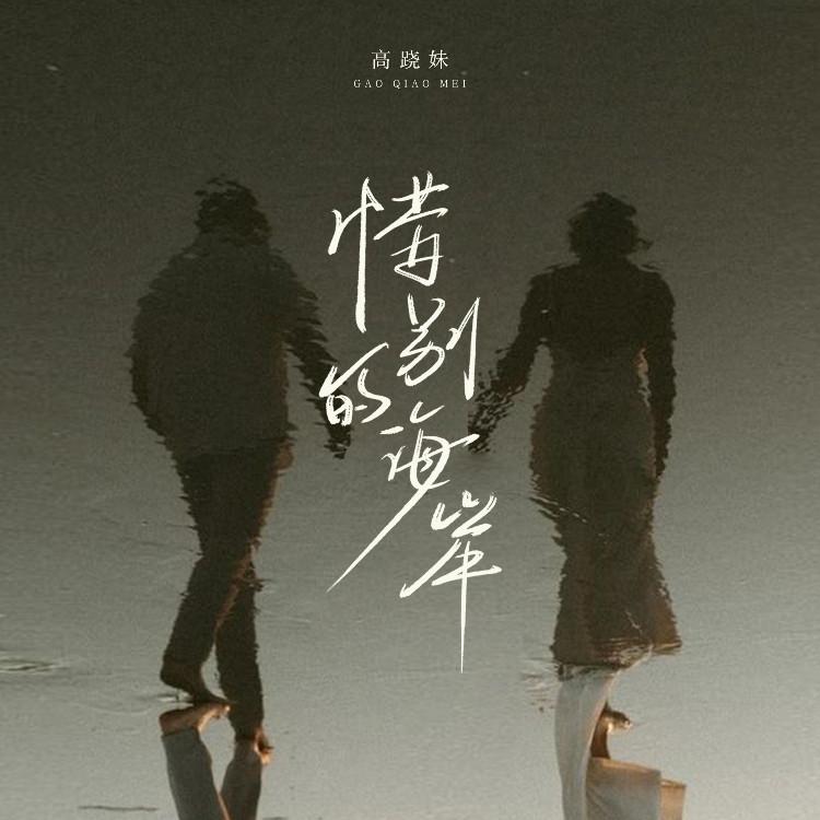 惜别的海岸 (烟嗓版)封面