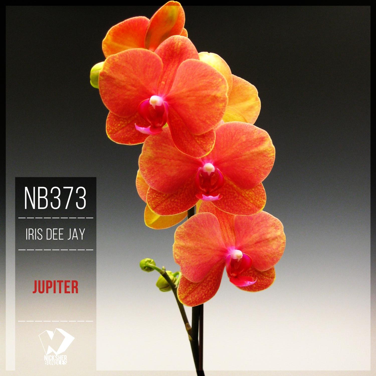 Jupiter (Original Mix)