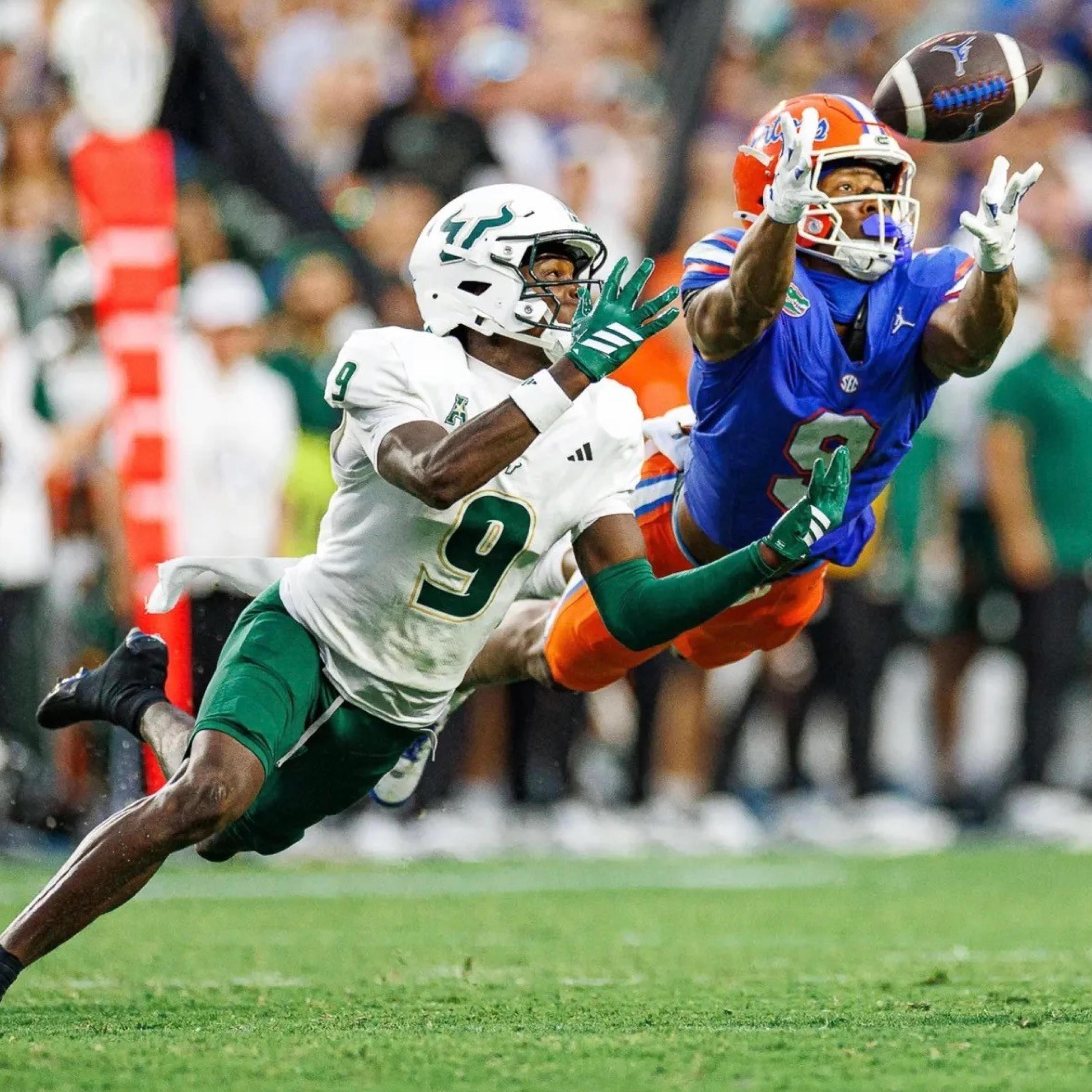 Pck Bee (James Chenault)