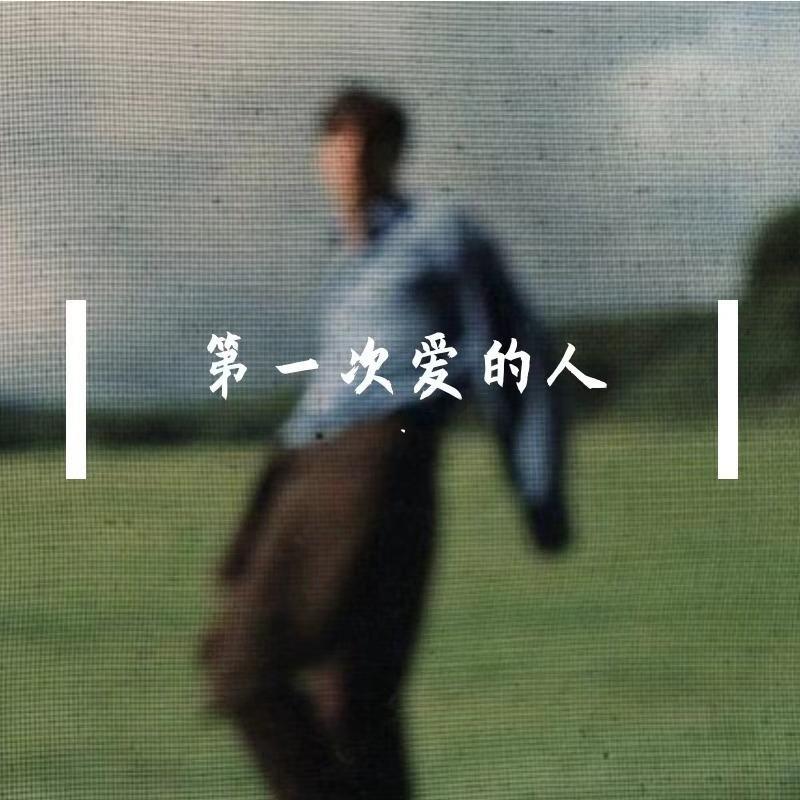 第一次爱的人封面