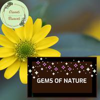 Gems of Nature