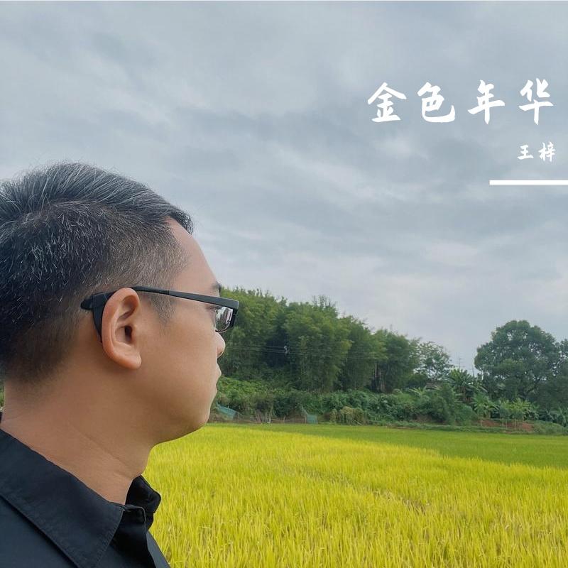 金色年华，无限伤感封面