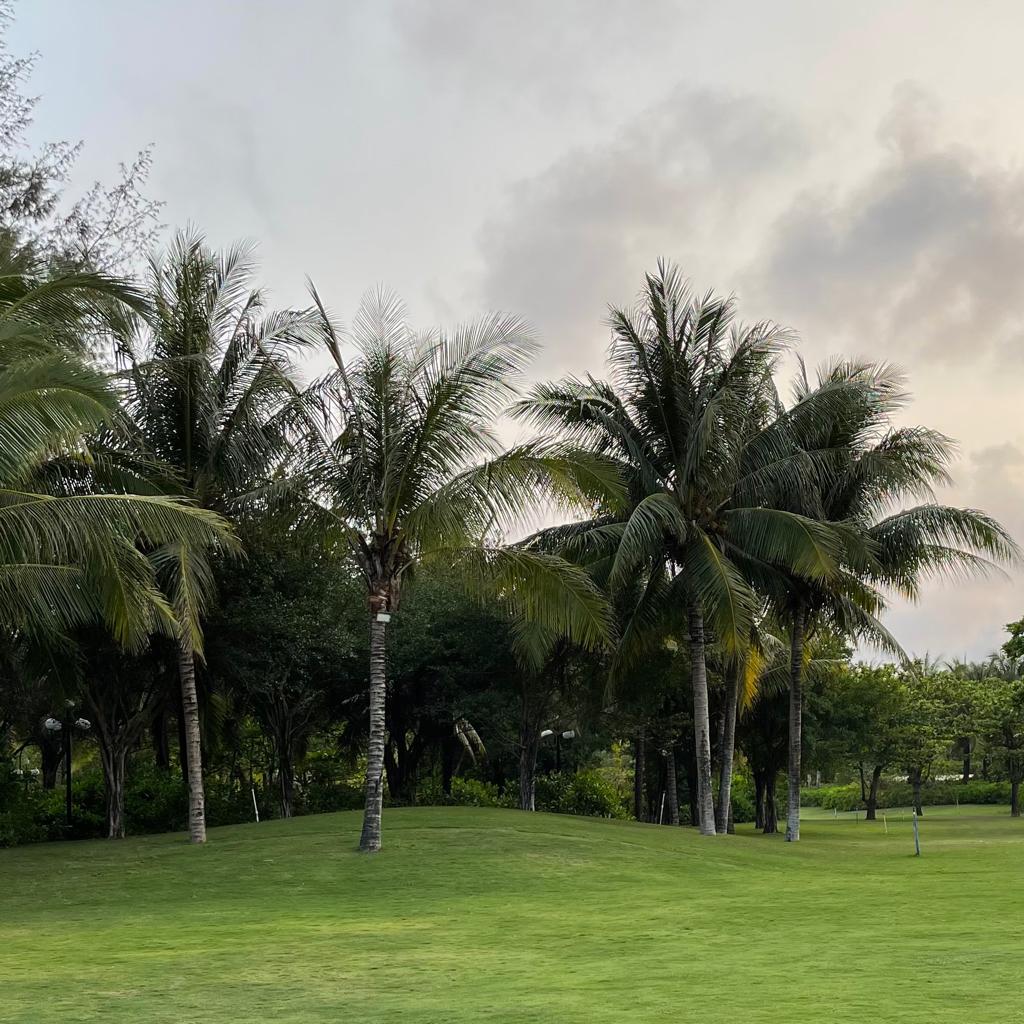 Lil蔡徐坤的歌单