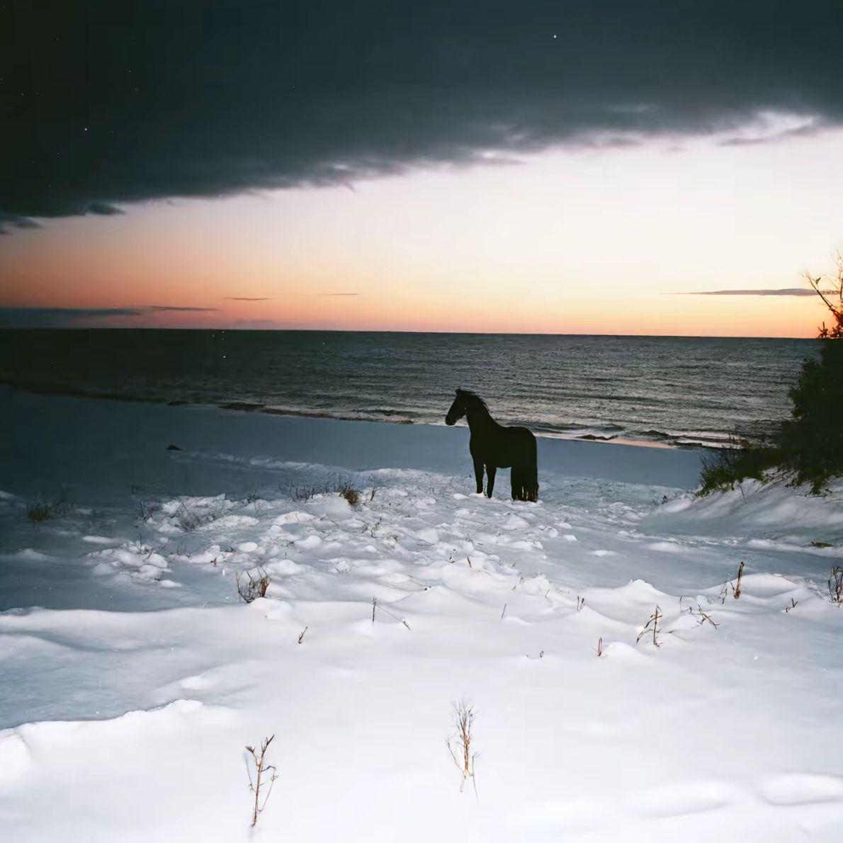 闰日多爱你24小时