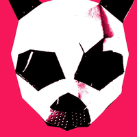 Pink Panda