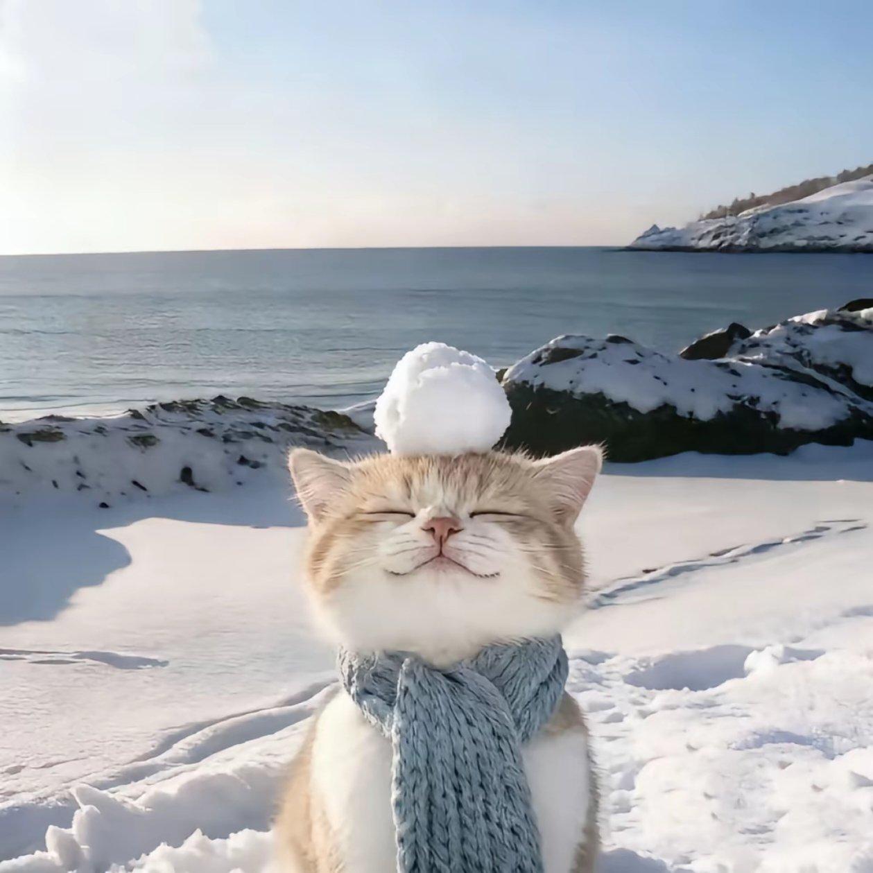 我的耳机分你一半好不好