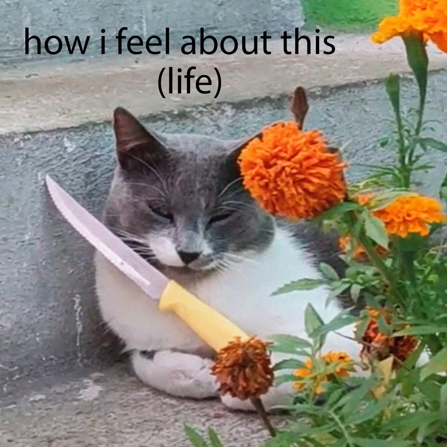 how i feel about this