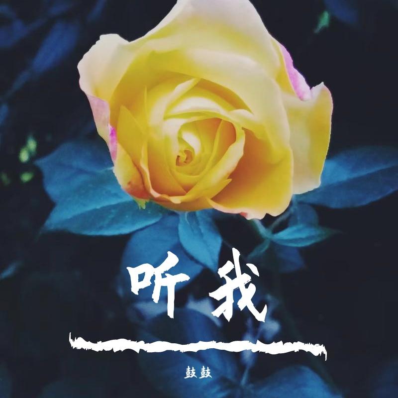 旋木封面