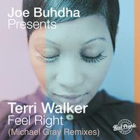 Feel Right (Michael Gray Remixes)