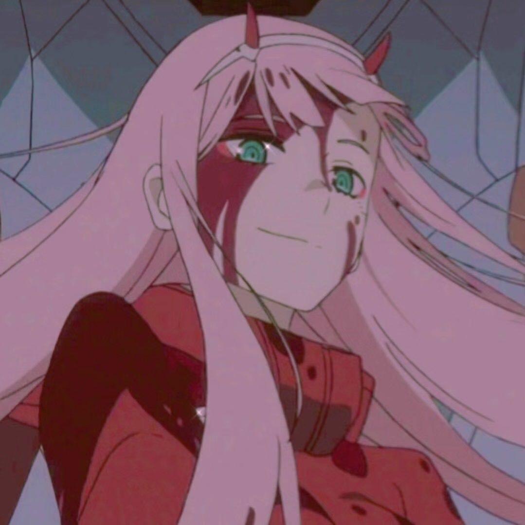 猫猫虫味maple豆腐