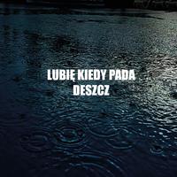 Lubię Kiedy Pada Deszcz (feat. GoHa)