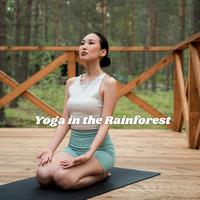 Yoga in the Rainforest