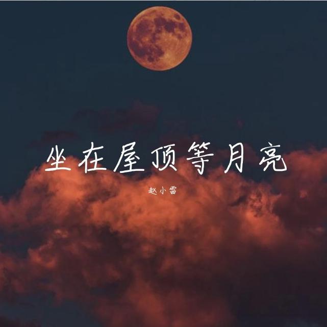 是阮不是软-甜一点（赵小雷 remix）