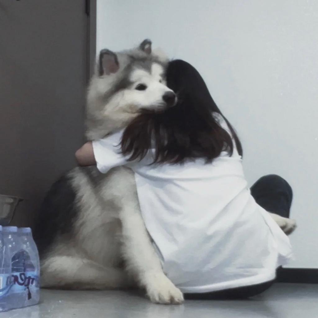 巧克力狂热爱好者zzz