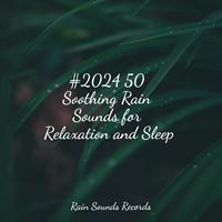 #2024 50 Soothing Rain Sounds for Relaxation and Sleep