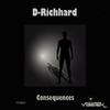 D-Richhard - Consequences (original mix)