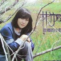 林竹君资料,林竹君最新歌曲,林竹君MV视频,林竹君音乐专辑,林竹君好听的歌