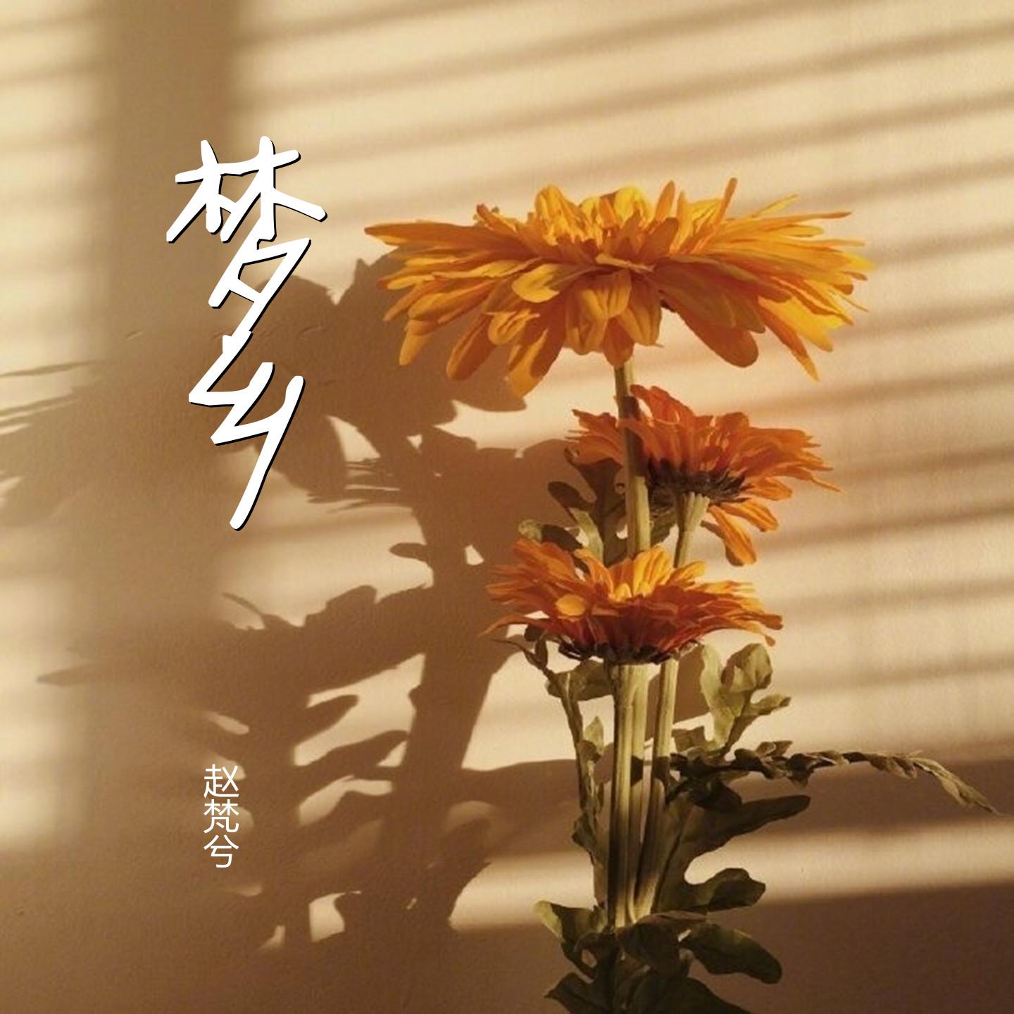 song-img