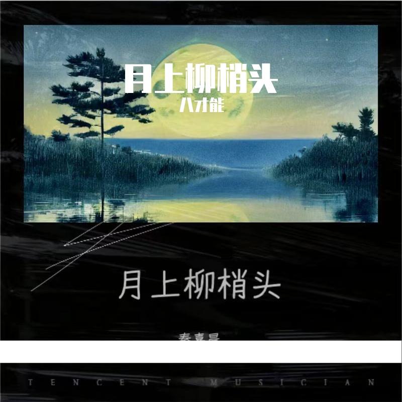 日不落的爱情封面