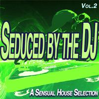 Seduced by the Dj, Vol.2 - a Sensual House Selection