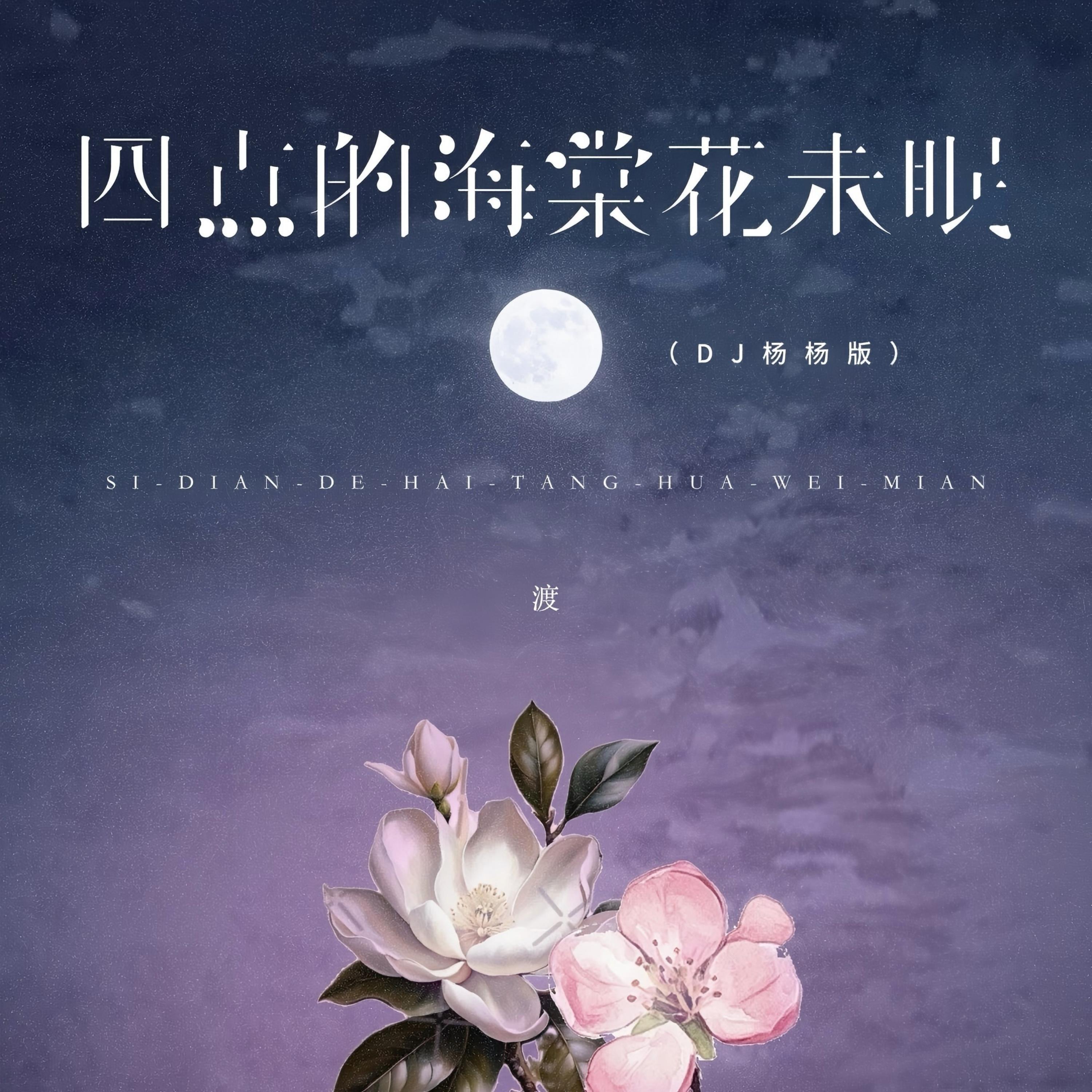 四点的海棠花未眠 (DJ杨杨版)专辑