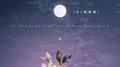 四点的海棠花未眠 (DJ杨杨版)专辑