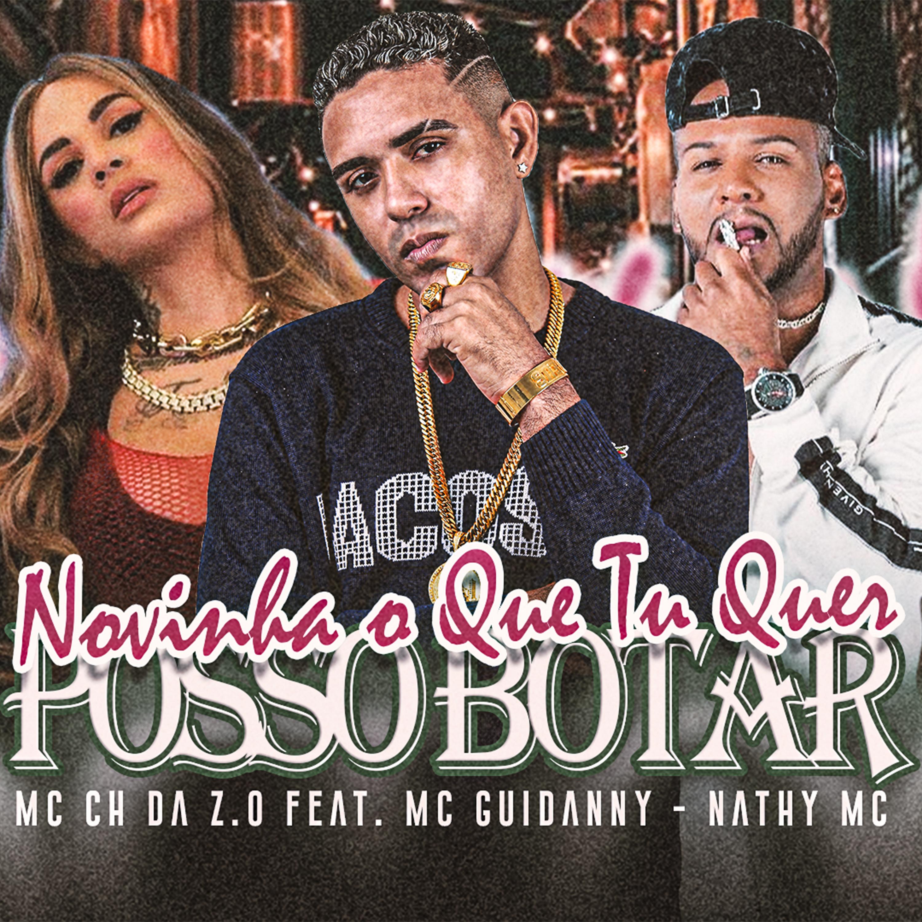 Novinha o Que Tu Quer / Posso Botar