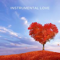 Instrumental Love