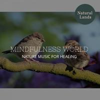 Mindfulness World - Nature Music for Healing