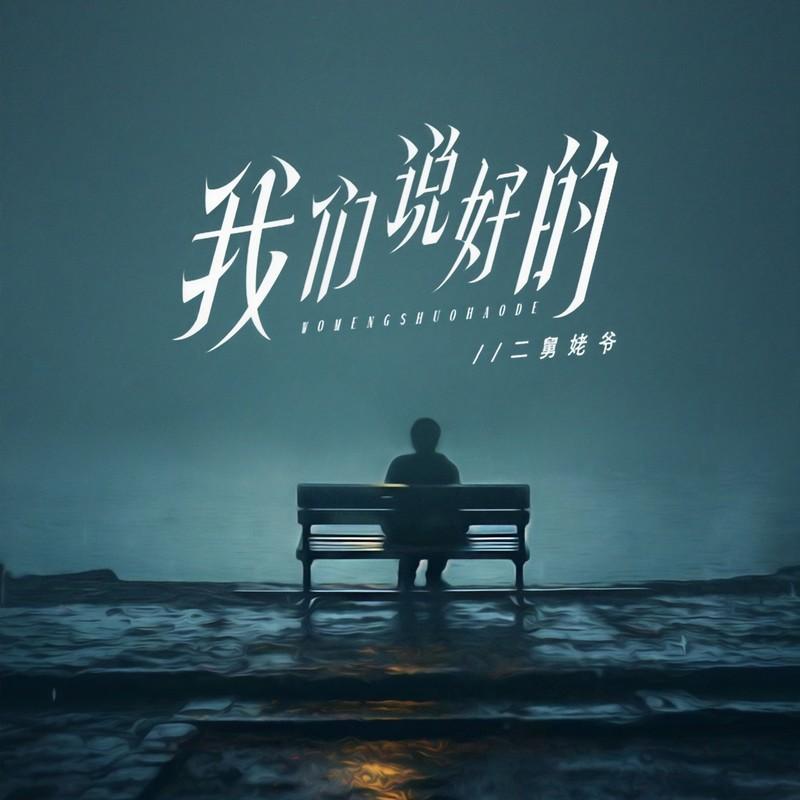 我们说好的 (伴奏) - 二舅姥爷封面