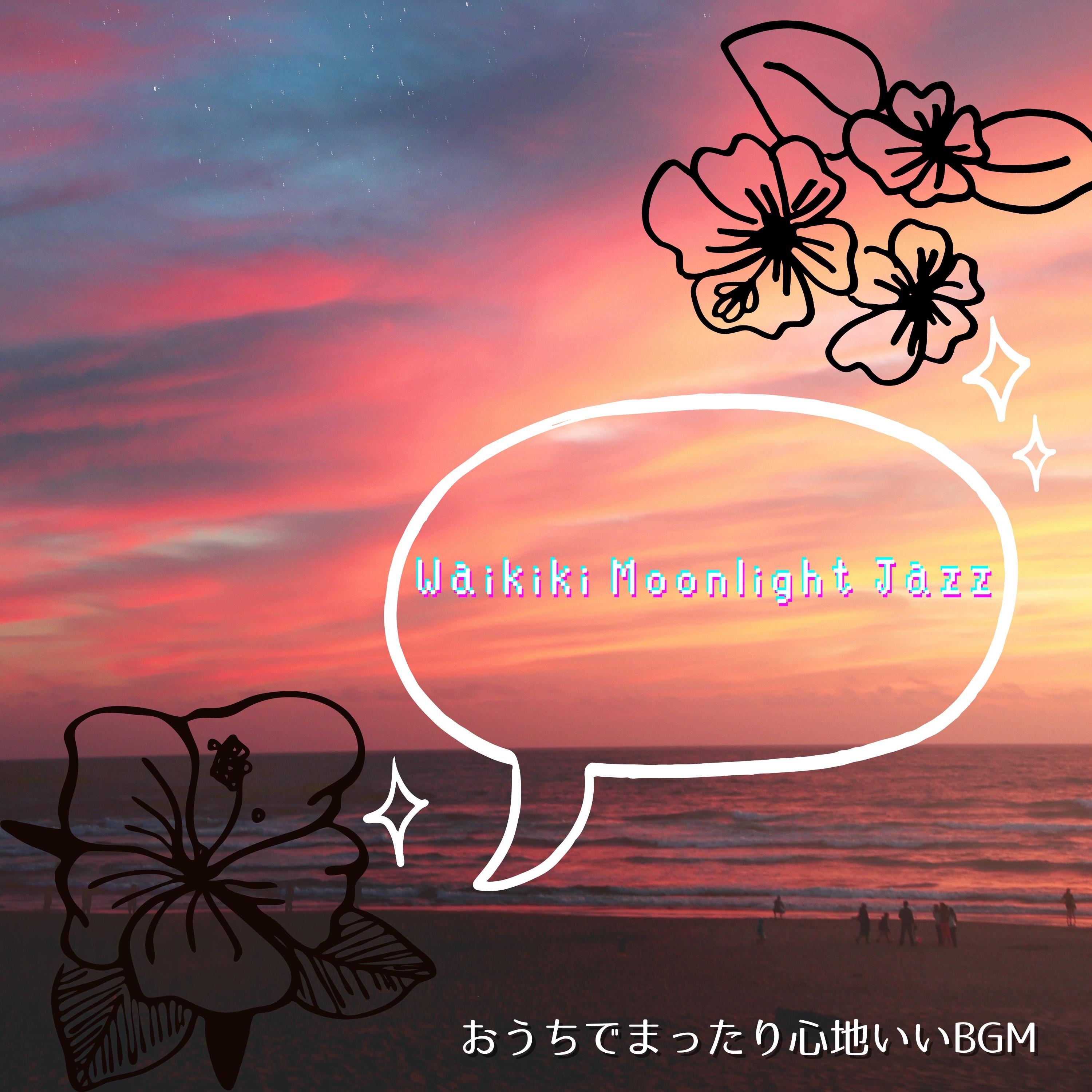 A Journey to the Moon