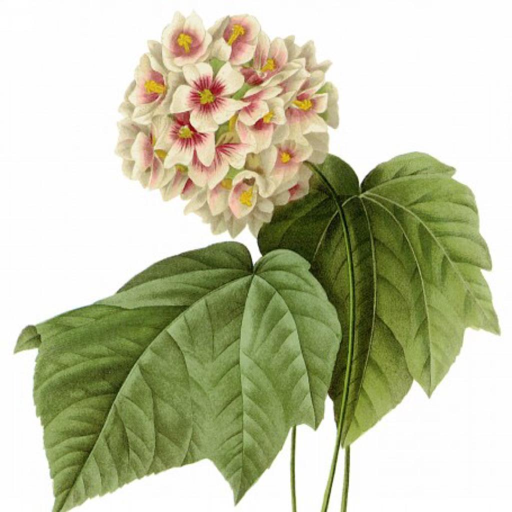 Andrew的积极音乐