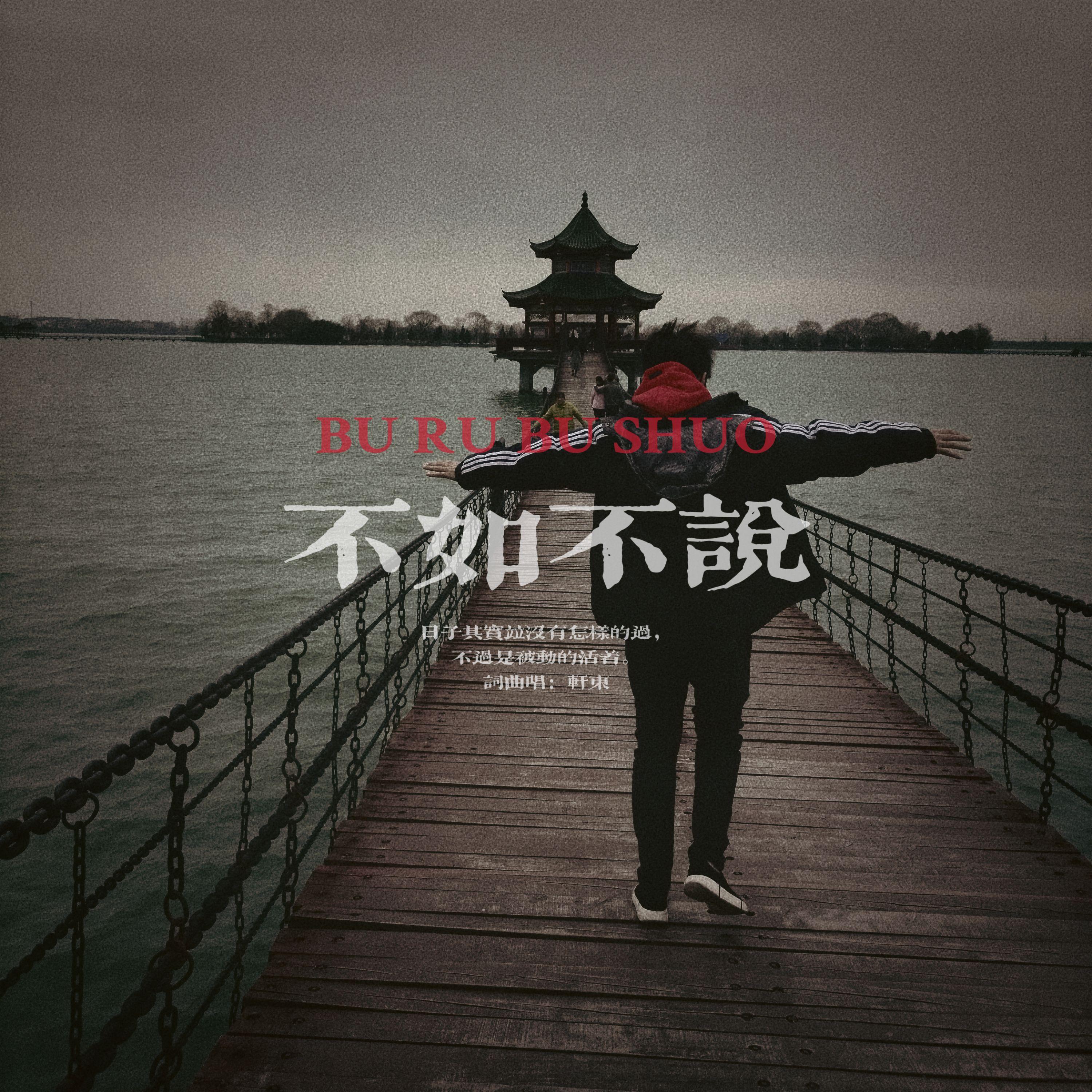 不如不说 - 轩东封面