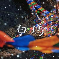 白玛